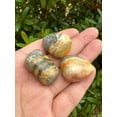 thumbnail image 5 of 5 Pcs Bumble Bee Jasper Tumbled Stones, Polished Bumble Bee Jasper Gemstone, Bumble Bee Jasper Healing Crystals (Bumble Bee Jasper), 5 of 9