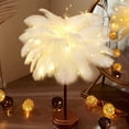 thumbnail image 2 of Lampe de table à Plumes LED avec Télécommande, Décoration Maison Nordique Moderne, Lampe de table, 2 of 5