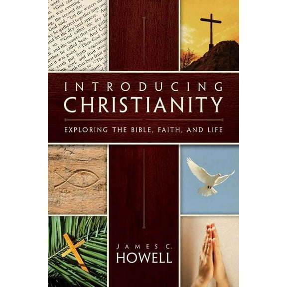 Introducing Christianity: Exploring the Bible, Faith, and Life, (Paperback)