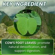 Pata de Vaca 100 Capsules – Supports Detox & Digestive Health 100% Pure Cow’s Foot Leaves (Bauhinia forficata) Vegan & Non-GMO Natural Herbal Supplement from Peru