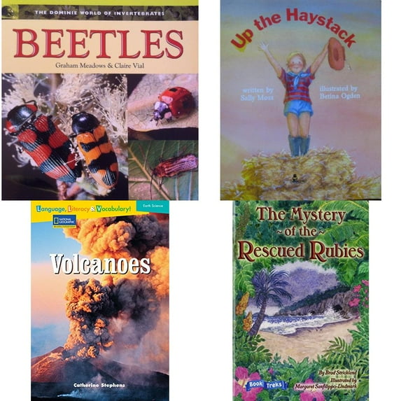 Children's Fun & Educational 4 Pack Paperback Book Bundle (Ages 6-12): BEETLES Dominie World of Invertebrates, Up the Haystack, Language, Literacy & Vocabulary - Reading Expeditions Earth Science: Vol