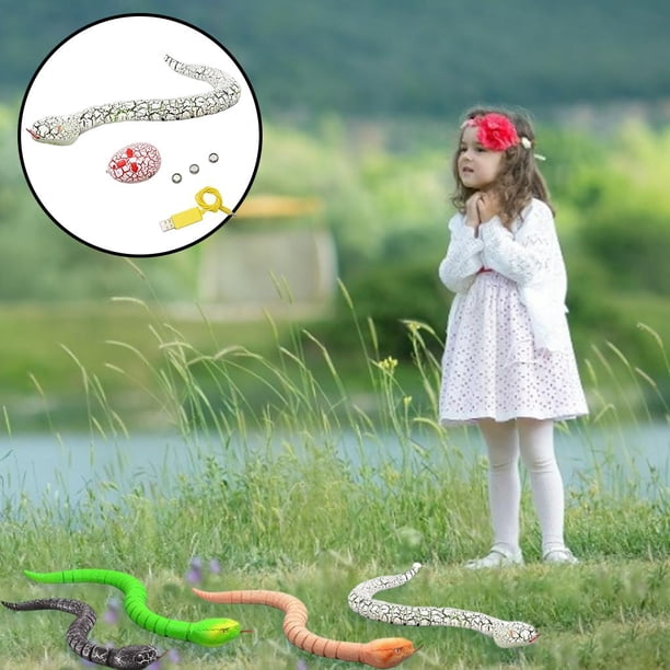 Juguete de Serpiente perfecl telemando recargable para niños y adultos