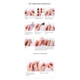 thumbnail image 4 of French Gel Nail Stickers, Hot Stamping, Onion Powder, Heat Lamp Hardening, Semi-Cured Nail Stickers - Nf240131, 4 of 5