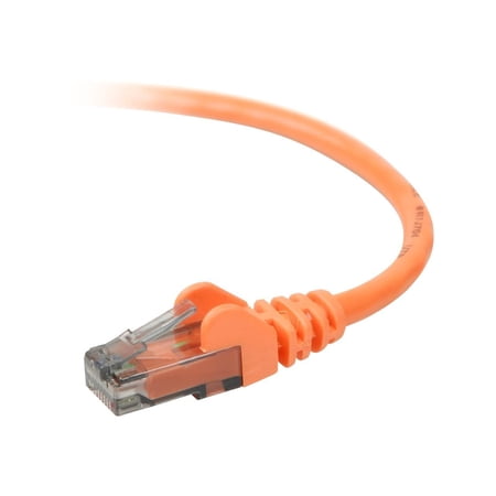 UPC: 0722868611685 | Belkin 5  CAT6 Ethernet Patch Cable