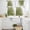 Green, variant on Sage Green Gold Kitchen Curtains Sets for Windows 24 Inch Length, Aesthetics Flower Boho Watercolor Art Rod Pocket Window Treatments Tier Curtains and Valances Set for Bedroom/Bathroom
