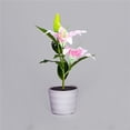 thumbnail image 2 of JYYYBF Solar LED Garden Lights Waterproof Potted Plant Lights with 2 Lily Flowers Yard Lamp for Landscape Outdoor Decorations, 2 of 7