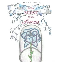 In The Midst Of The Storms, (Paperback)