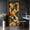 Color 4, variant on Door Stickers Peel and Stick Door Mural Bald Eagle Flight Blue Waters Majestic Feathers Removable Wallpaper 30.3''x78.7'' Self-Adhesive Mural for Kitchen Living Room Bedroom Decor