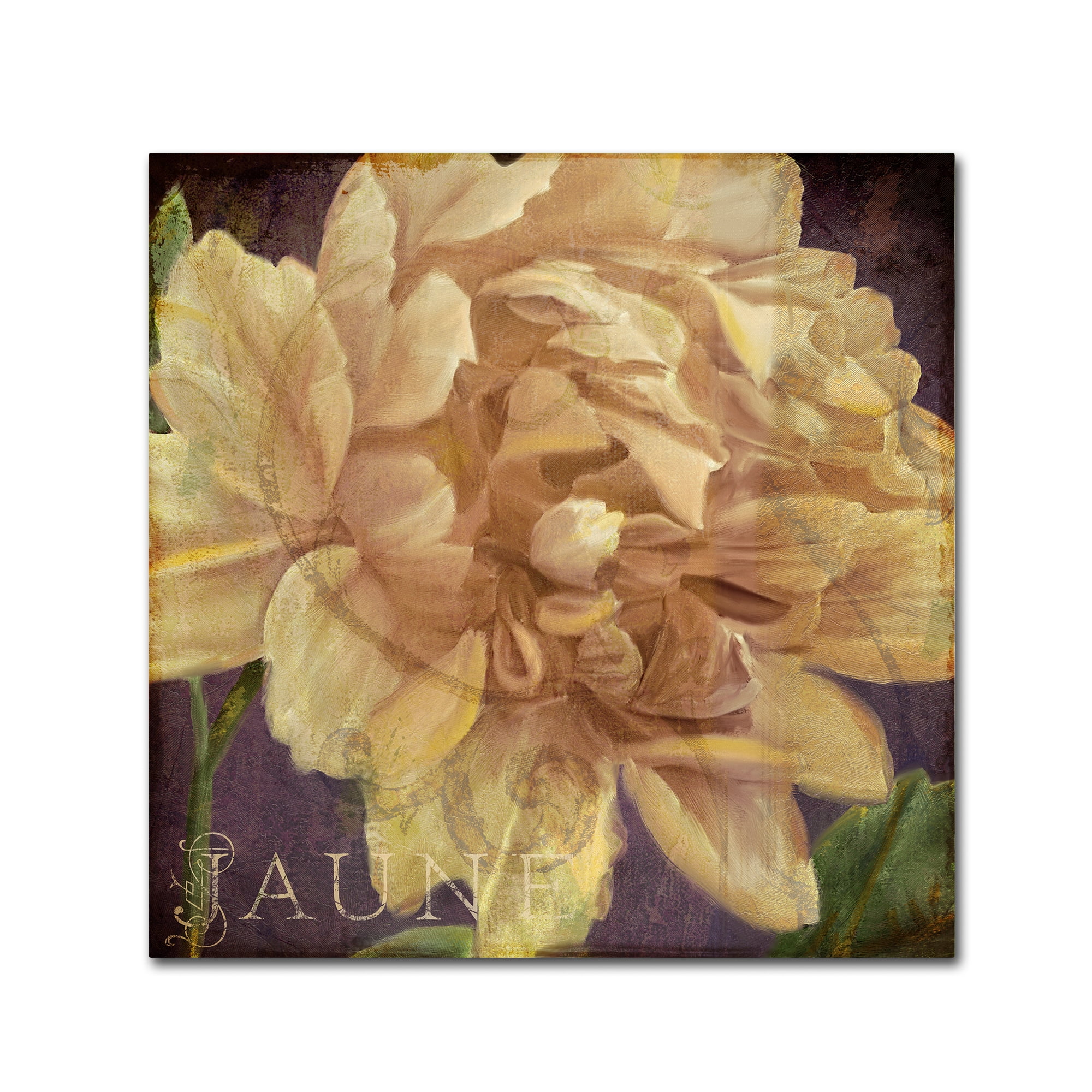 Trademark Fine Art "Jaune" Canvas Art by Color Bakery