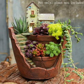 Resin Garden Cactus Succulent Plant Pot Herb Flower Planter Box