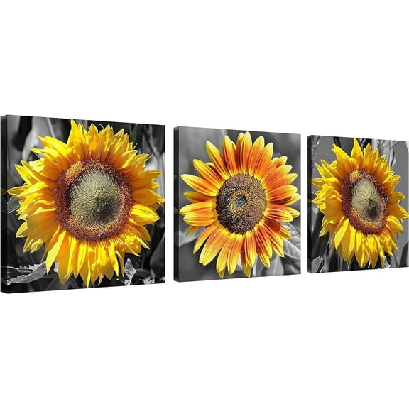 Sunflower Seeds Wall Art Canvas Sunflower Decor Black and White Pictures on Wall Art for Home Office Decorations Living Room Bedroom and Kitchen Decor 3 Pcs Framed Canvas Prints 16X16inches