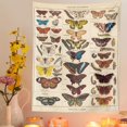 thumbnail image 2 of Tapisserie Papillon, 2 of 3