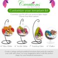 Plant Terrarium Kit W/Live Succulent ( from Florida), Choose Your Glass