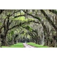 thumbnail image 3 of Burt, Daniel 18x13 Black Modern Framed Museum Art Print Titled - The Old South, 3 of 5