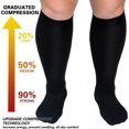 thumbnail image 2 of Plus Size 5XL Compression Stockings - Black, Wide Calf, Medical, 2 of 4