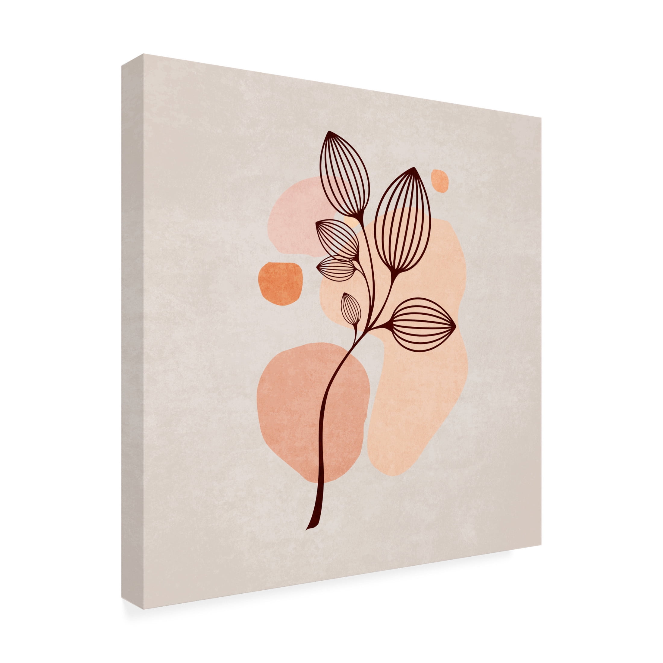Trademark Fine Art Emel Tunaboylu  Zarif Cicekler 01 Canvas Wall Art