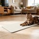 thumbnail image 5 of Rascador de pared para gatos con respaldo adhesivo, tela no tejida, juguete para trepar y arañar para gatos de interior, blanco o gris, 60×30 cm, 5 of 6