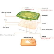 E-Jen Premium Kimchi, Sauerkraut Probiotic Fermentation Container with Inner Vacuum Lid (Earthenware Green, 0.45 gal/ 1.7L)