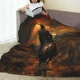 thumbnail image 6 of Cauagu Western Rainy Desert Cowboy Pattern Flannel Bed Blankets,Fleece Blanket Comfortable Air Conditioning Blanket for Sofa Bed Travel Couch & Living Room -60"x50", 6 of 8