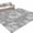 Light Gray White, variant on 2x3 Ft Entryway Area Rug, Tiger Leopard Kitchen Rug Runner Washable Floor Mat, Grey Rustic Forest Trees Farmhouse Animals Non Slip Indoor Door Mat Throw Carpet for Bathroom Living Room Bedroom