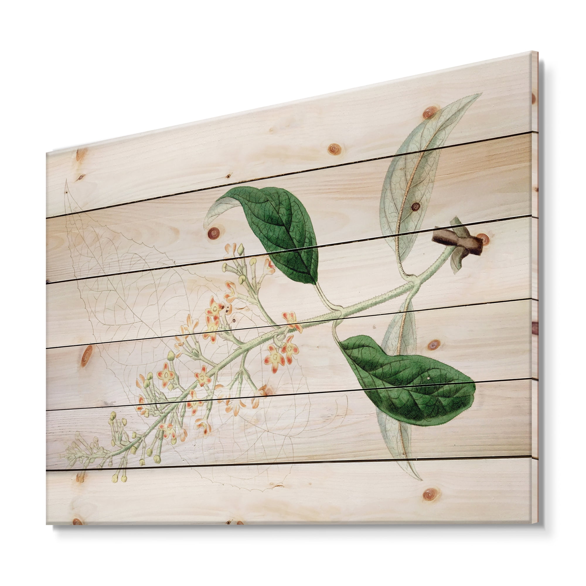 Designart 'Ancient Plant Life XXVII' Traditional Print on Natural Pine Wood