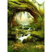 ABPHOTO 5x7ft Photography Backdrop Fairytale Tropical Jungles Landscape Old Tree Stream Green Grass Backdrops for Photo Shoots Lovers Party Game Adult Kids Baby