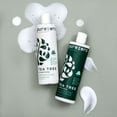 thumbnail image 6 of PUREZERO Tea Tree & Matcha Invigorating Conditioner, 12 oz, 6 of 11