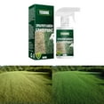 Green Grass Paint for Lawn Spray Plant Dye Repair Curing Agent Color