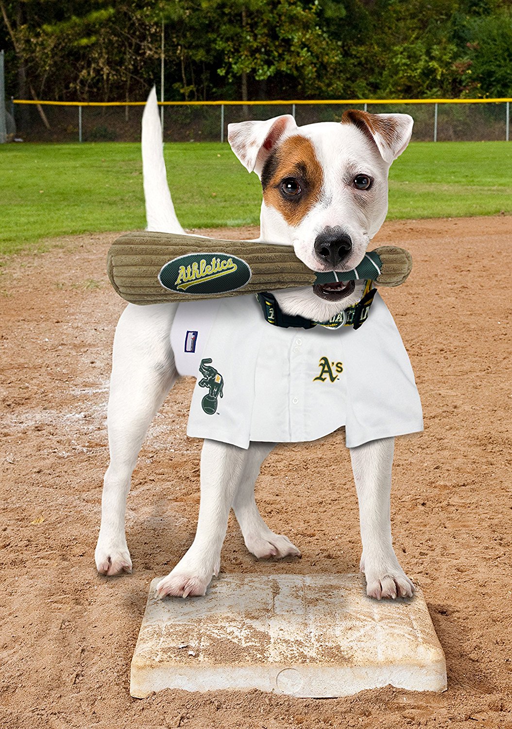 Pets First MLB Oakland Athletics BAT TOY for DOGS & CATS. 29 MLB Teams available. - Plush PET TOY with inner SQUEAKER. Officially Licensed Baseball BAT.