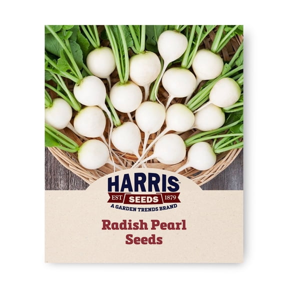 Harris Seeds Pearl Organic Radish, White Round Roots for Fresh Use, 250 Count
