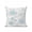 Turquoise, variant on 1 Pack Outdoor Throw Pillow, Pink Blue Coastal Waterproof Pillow with Insert Included, Summer Beach Coral Sea Turtle Starfish Decorative Accent Cushion Sofa Pillows for Patio Porch, 16 x 16 In
