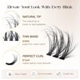 thumbnail image 3 of Extensiones de volumen Eyelash Cluster BEFER Lash 3D Curl de 10 a 16 mm, 3 of 6