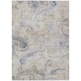 thumbnail image 2 of Addison Rugs Chantille Indoor/Outdoor Transitional Paisley Beige Machine Washable Rectangle Rug, 8' x 10', 2 of 8