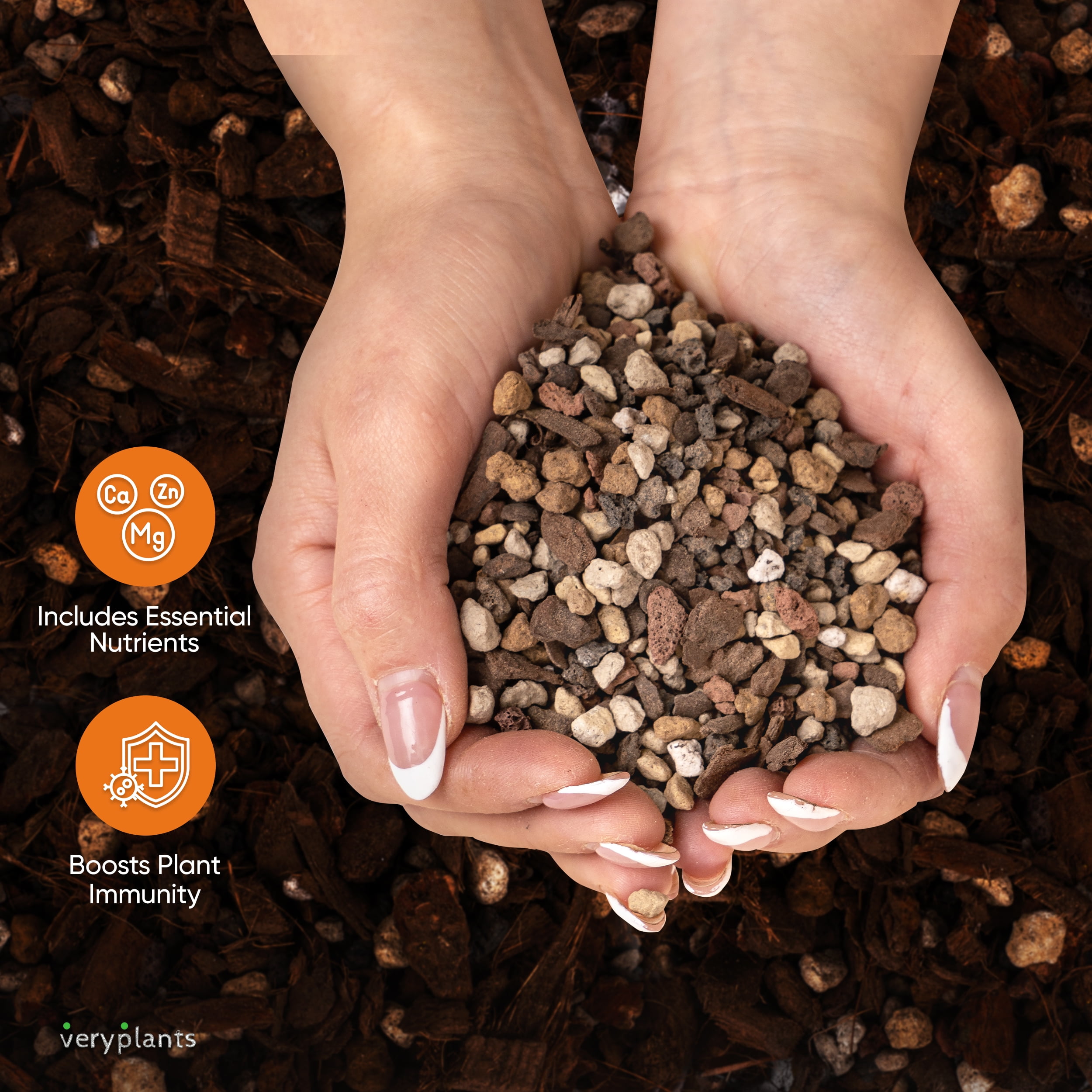 VERYPLANTS Molly's Succulent Mix Soil, 3 Dry qt