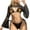 Black, variant on BeAi Swim Suits for Women 2025 Halter Bikini Sets for Women Tummy Control Cute Swimwear with Shorts Beachwear Dresses for Women 2025 Bandeau Bikini Sets Sexy Strapless Previous Orders