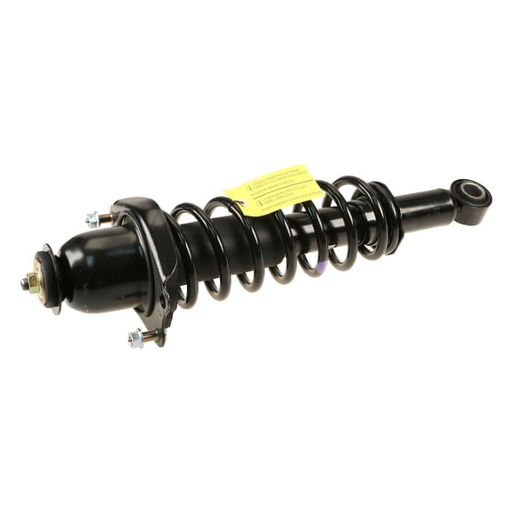 Suspension Strut and Coil Spring Assembly