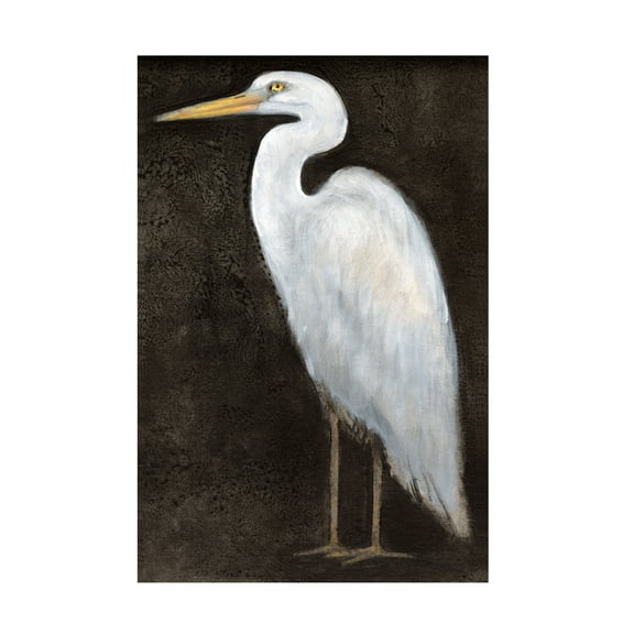 Tim O'Toole 'White Heron Portrait II' Canvas Art