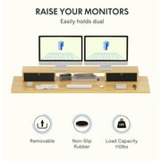 FlexiSpot 48x24 Electric Standing Desk with One-Piece Desktop, 2 Removable Drawers, Headphone Hook, 4 Height Memory Presets, 250lbs Capacity Ergonomic Sit Stand Desk with Monitor Stand