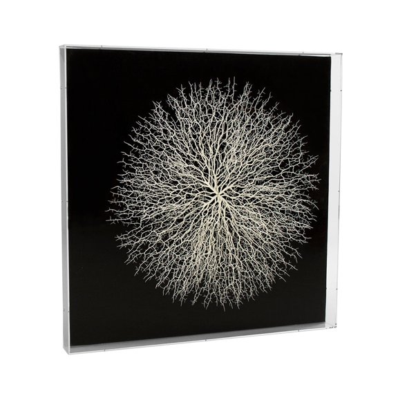 Abstract Branches in Acrylic Box Wall Art by Zentique