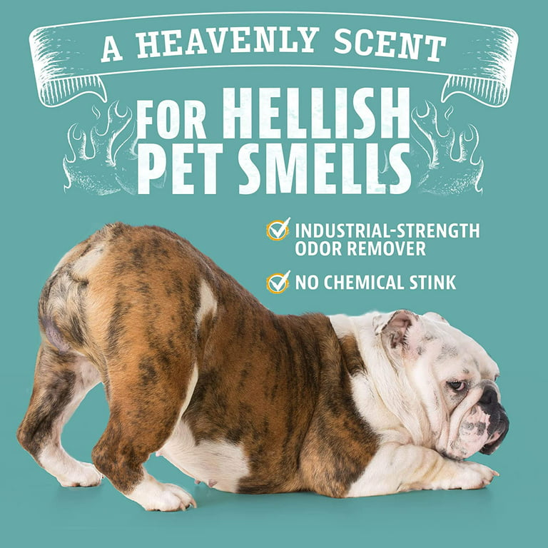 ANGRY ORANGE éliminateur d'odeurs d'animaux de compagnie pour odeurs fortes  - désodorisant d'agrumes - LOT DE 3 !