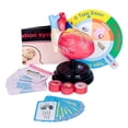 thumbnail image 4 of Modelo de corazón humano, ensamblaje profesional, modelo de estructura de corazón humano de tamaño natural preciso con soporte desmontable para, 4 of 8