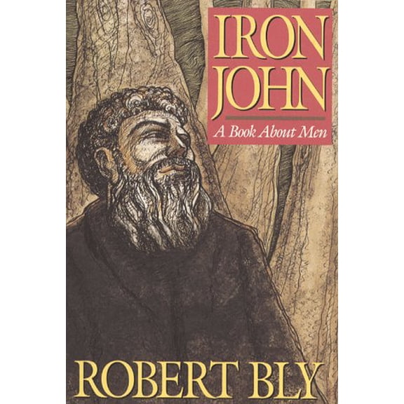 Iron John : A Book about Men 9780201517200