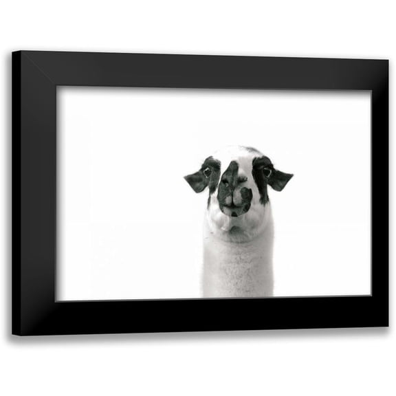 Marshall, Laura 14x11 Black Modern Framed Museum Art Print Titled - Lovable Llama II