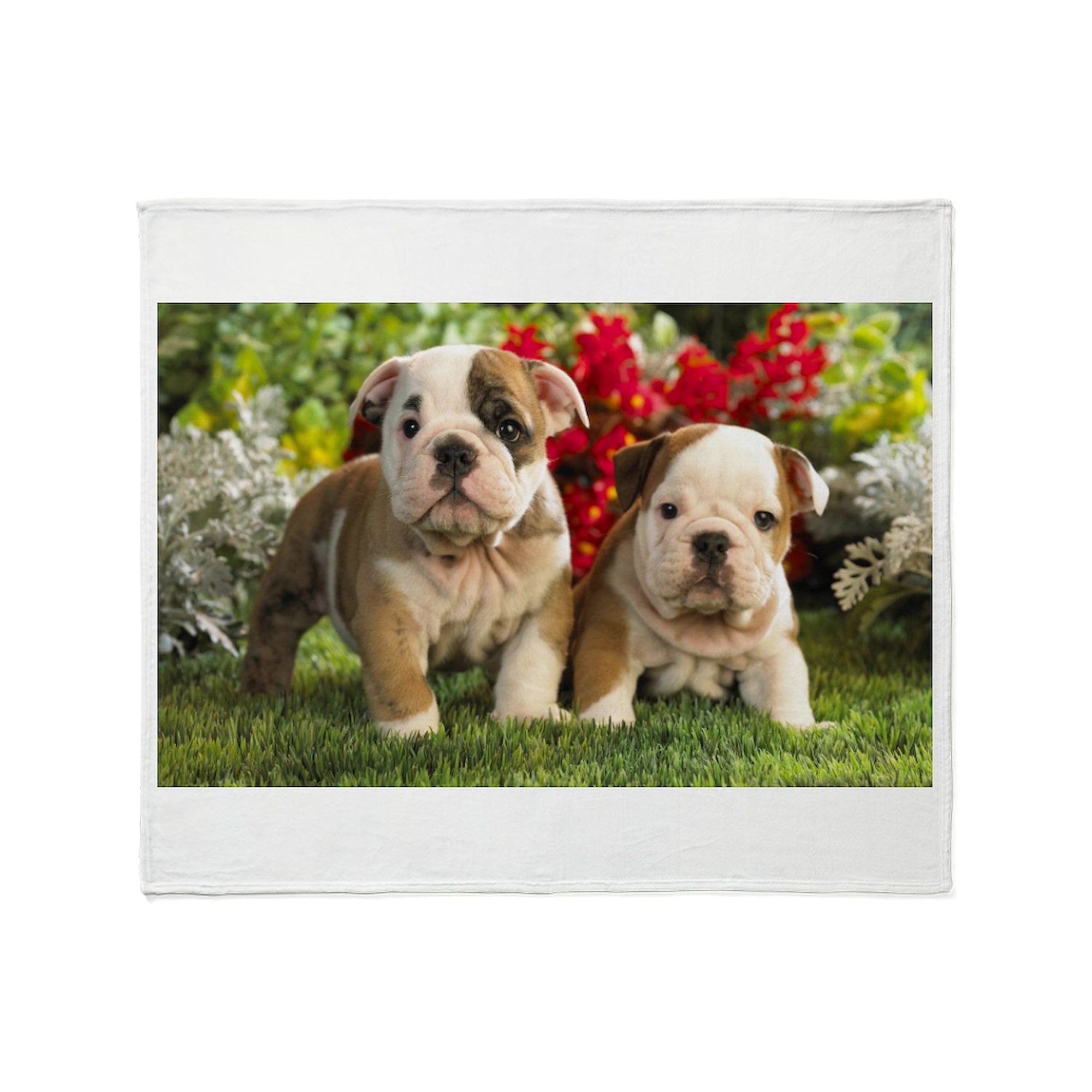CafePress - Posing Throw Blanket - Soft Fleece Throw Blanket 50 x60 for All Ages
