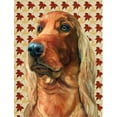 thumbnail image 1 of Carolines Treasures LH9555GF Irish Setter Fall Leaves Flag Garden Size, 1 of 3
