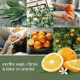 thumbnail image 2 of Yankee Candle Sage & Citrus 3 Pack Concentrated Room Spray, 2 of 6