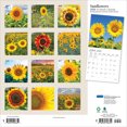 thumbnail image 2 of Sunflowers | 2026 12x24" (Hanging) Monthly Square Wall Calendar | Plato, 2 of 9