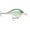 Blue Back Herring, variant on Rapala Dives-To Crankbait 06 Bleeding Olive Shiner