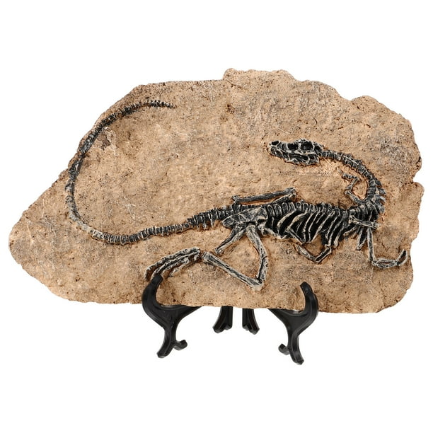 Simulación de fósil de dinosaurio, artesanía decorativa, adorno fósil de resina, mini fósil de dinosaurio de escritorio.