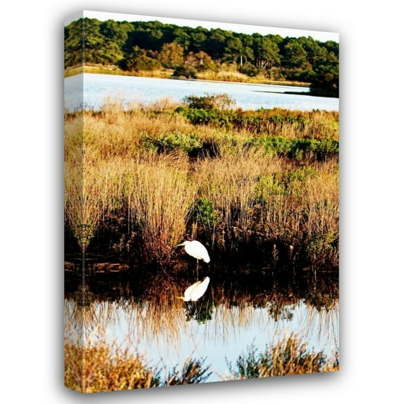Alan Hausenflock 31x44 Gallery Wrapped Canvas Wall Art Titled - Assateague Island II